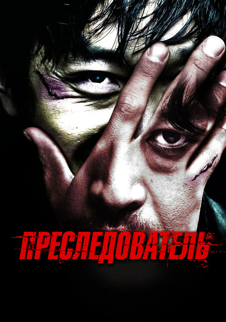 Преследователь (2008)