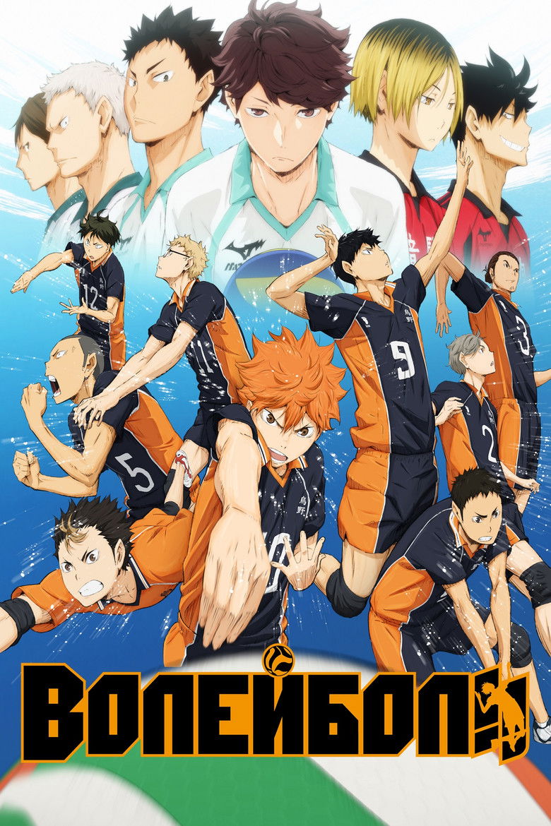 Волейбол!! (2014)