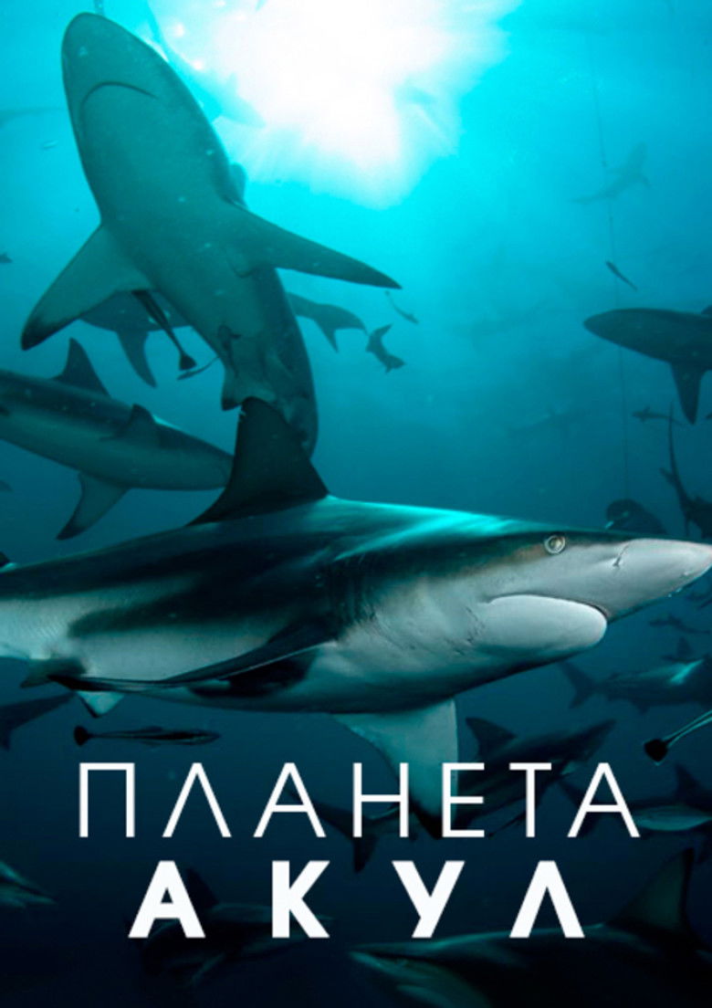 Планета акул (2022)