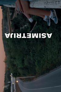 Асимметрия (2019)