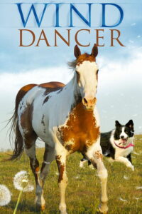 Танцующий с ветром (1993)