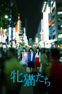 Кошачий рассвет (2017)