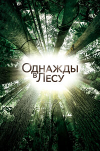 Однажды в лесу (2013)